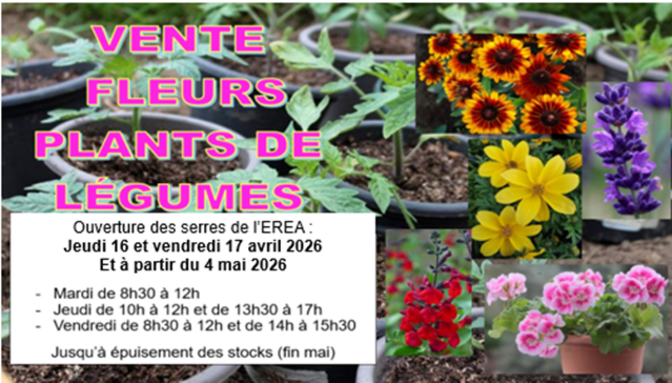 Vente fleurs 2026.png